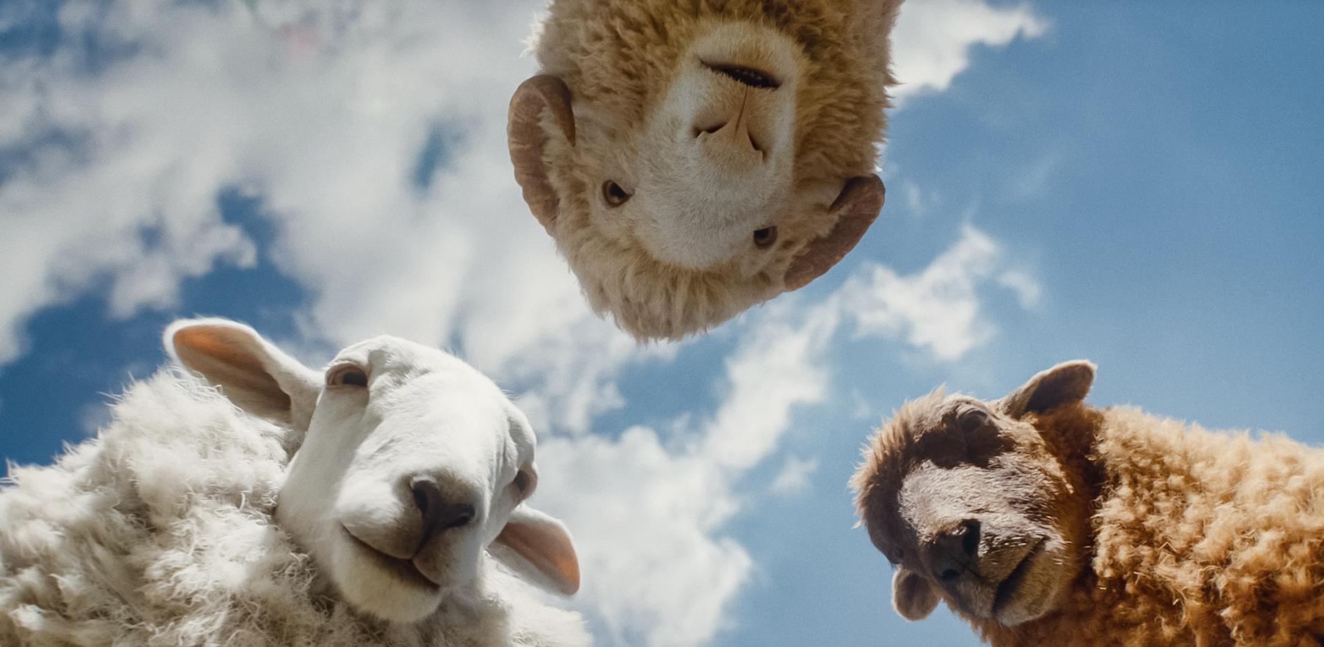 https://mastr.be/wp-content/uploads/2026/07/Sheep-Detectives.png
